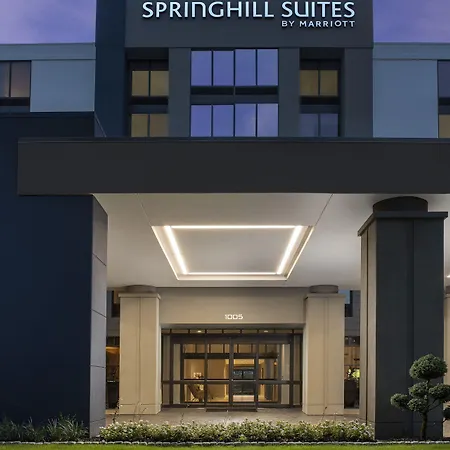 Springhill Suites By Marriott Atlanta Perimeter Center-3