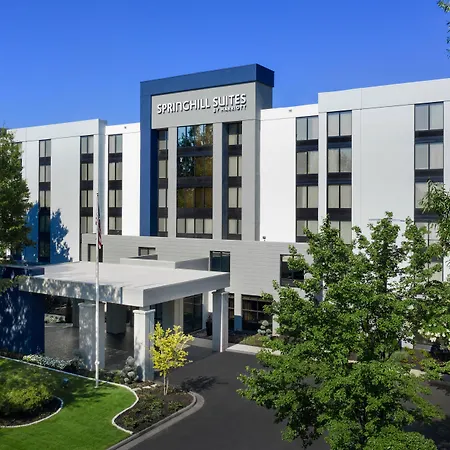 Springhill Suites By Marriott Atlanta Perimeter Center-2