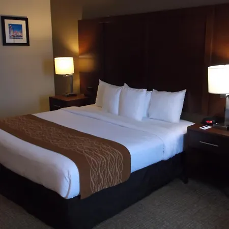 Comfort Inn & Suites Seguin-2