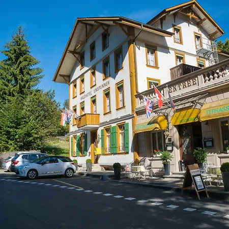 Waldhotel Unspunnen-3