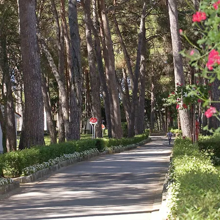 Village Galijot Plava Laguna-3