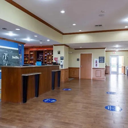 Hampton Inn Alice-3