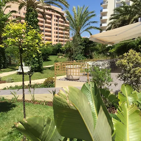 Rr Club Amarilis-3