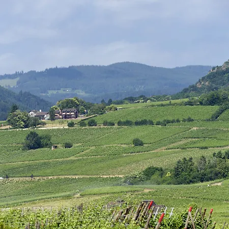 Le Clos Saint-Vincent-2