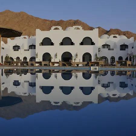 Daniela Diving Resort Dahab-3