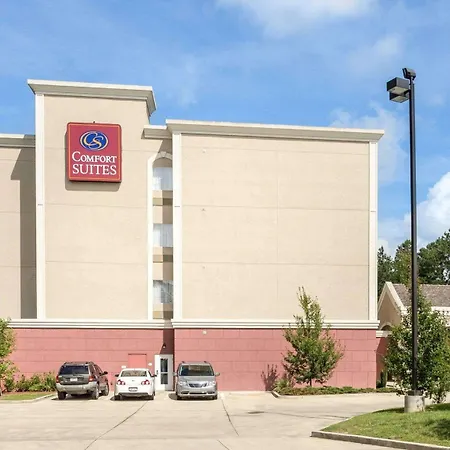 Comfort Suites Mandeville - Covington-3