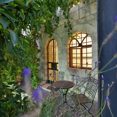 Alegra Boutique Hotel-2