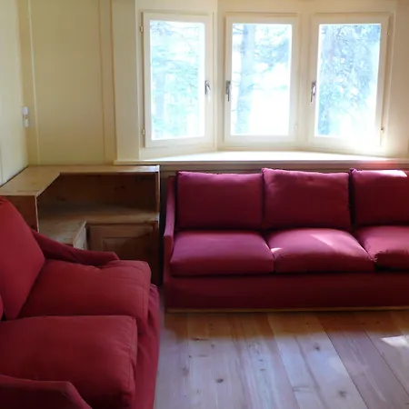 Chalet Speciale - Celerina-3