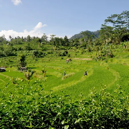 Subak Tabola Villa-3