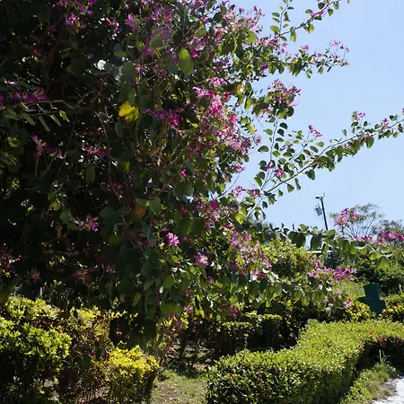Hotel Villas De La Selva-3