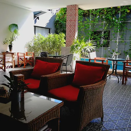 The Umbrella House-2
