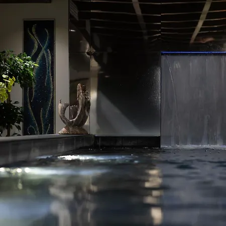 Hotel & Spa Le Chene Vert-3