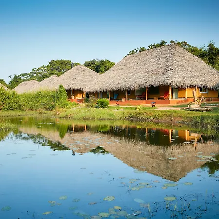 Amuna Ayurveda And Wellness Retreat-3