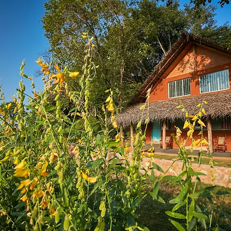 Amuna Ayurveda And Wellness Retreat-2
