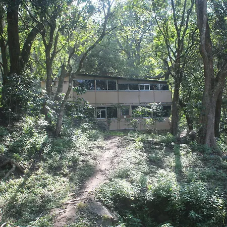 Secret Valley Jungle Resort-3