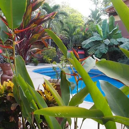Samara Palm Lodge-2