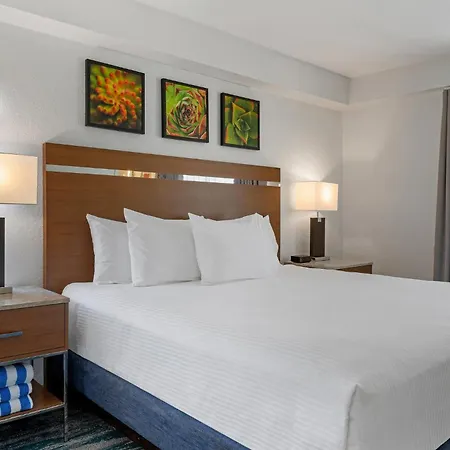 Desert Rose Resort-2