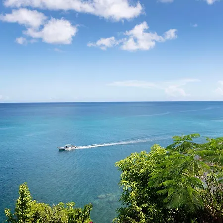 Sandals Regency La Toc All Inclusive Resort And Spa - Couples Only (Adults Only)-2