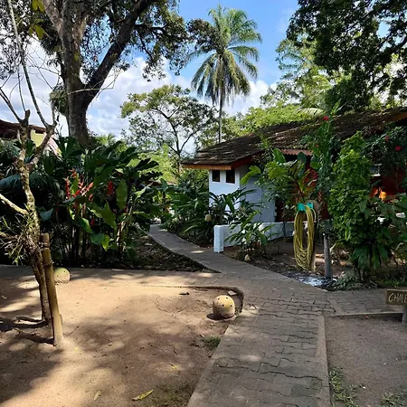 Pousada Coco Dendê-2