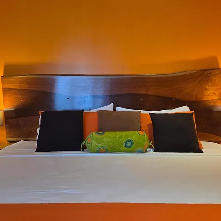 Hotel La Palapa-2