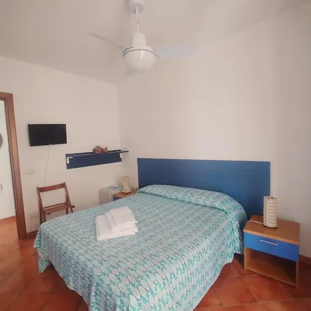 Cocoi-2