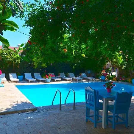 Jenny'S House Hotel-2