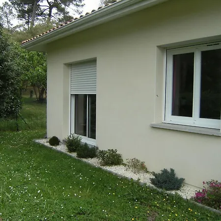 La Palibe-2