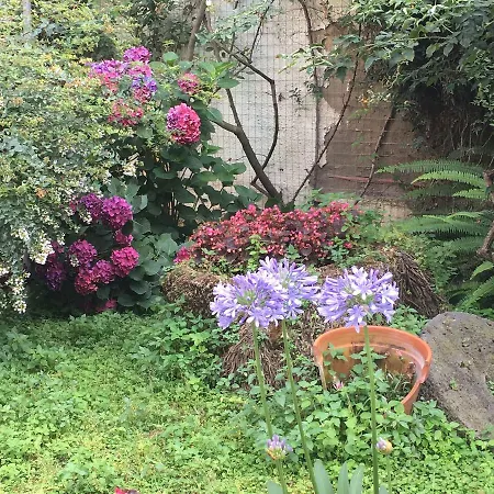 B&B La Corte-2