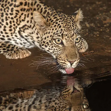 Etali Safari Lodge-3