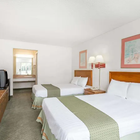 Palmetto Inn By Magnuson Worldwide-2