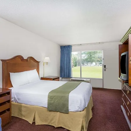 Palmetto Inn By Magnuson Worldwide-3