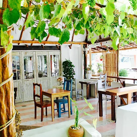 Posada Amor Hotel Boutique-2