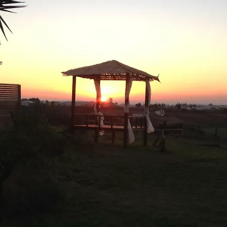 Finca Andalucia-3