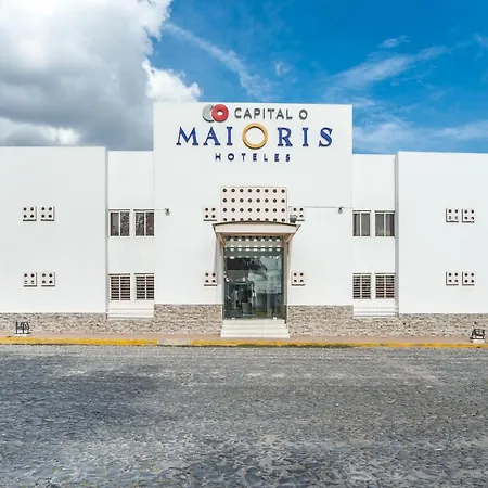 Hotel Maioris Guadalajara-3