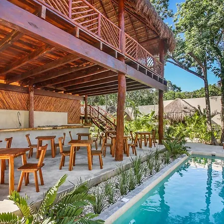 Zenses Wellness And Yoga Resort - Adults Only-3