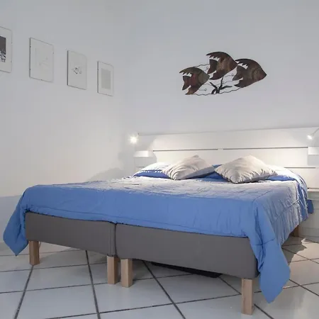 Poly'S House-2