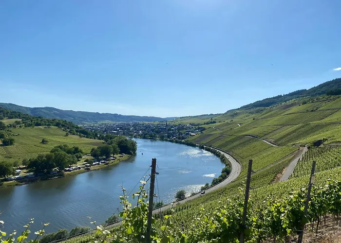 Hotel Springiersbacher-Hof Kröv