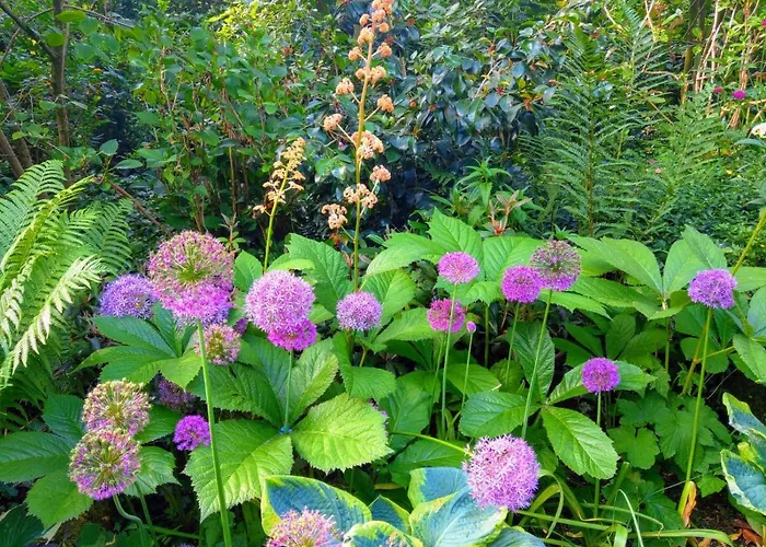 B&B Jossefin Tuinen Lanaken