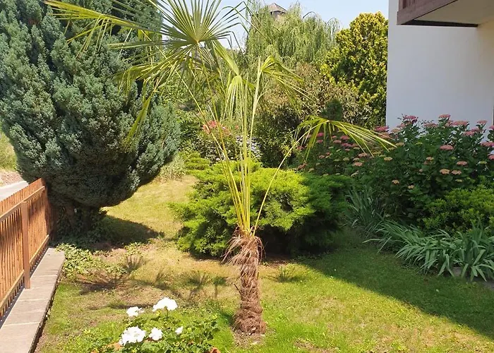 Pension an der Mayenburg