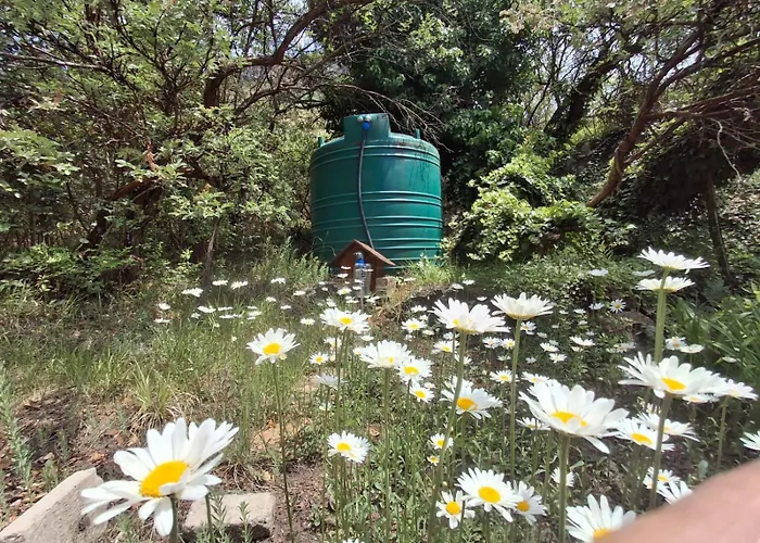 His Vessel Guesthouse Clarens Fs