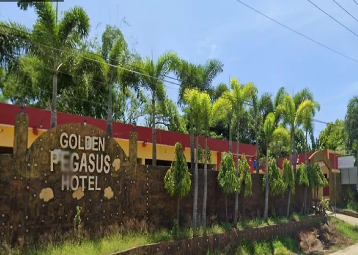 Golden Pegasus Hotel La Union By Reddoorz
