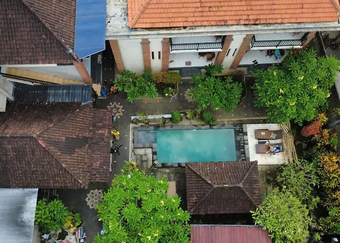 Nami House