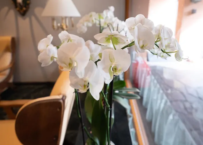Hotel Haus Arenberg