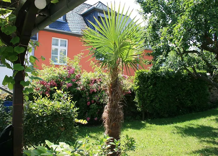 Hotel Springiersbacher-Hof Kröv